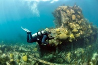 Scuba Diving