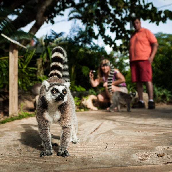 Bermuda Aquarium, Museum & Zoo