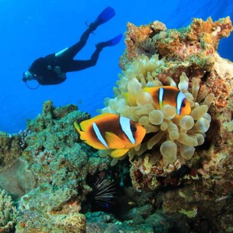 Scubadiving in Bermuda