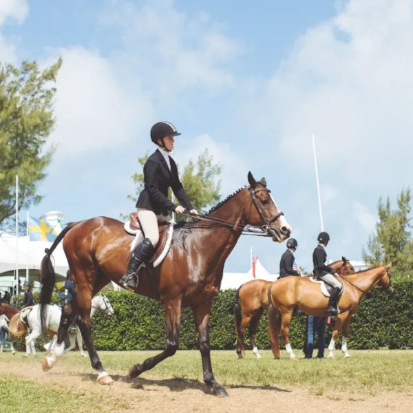 Bermuda Agricultural Exhibition